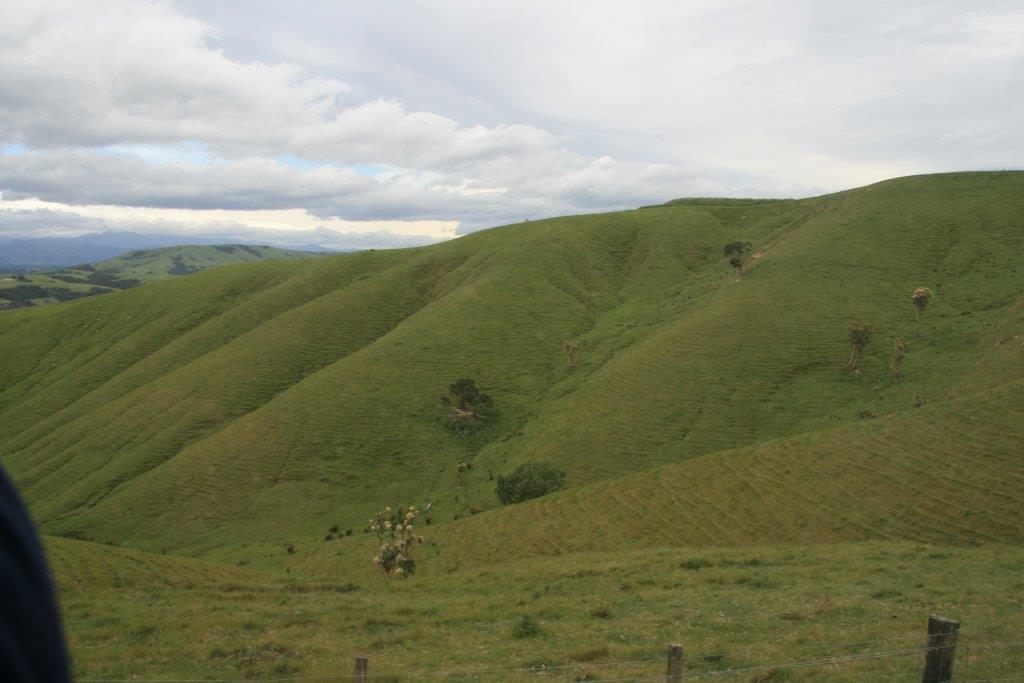 Abbildung 1 Typisches Hügelland mit intensiv genutzten Schafweiden